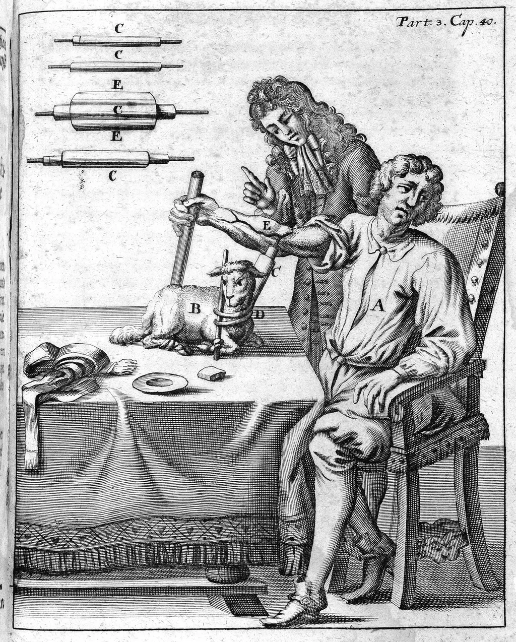 Entre os primeiros experimentos com transfusão, há a tentativa de trazer sangue de um cordeiro para um ser humano (Imagem: Wellcome Collection/CC-BY-4.0)