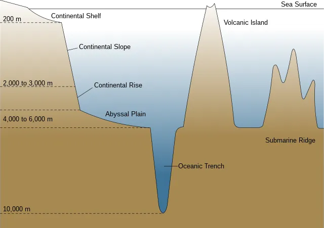 Perfil do relevo submarino das plataformas continentais até as fossas oceânicas (Imagem: Domínio Público/Wikimedia Commons)