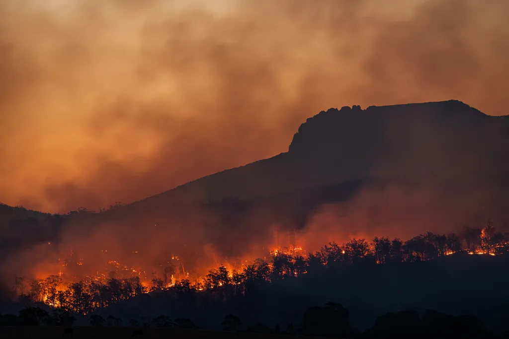 Incêndios florestais podem ter origem humana, mas em muitos casos eles começam a partir de raios. A frequência dos raios 
