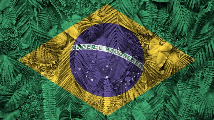 Dia Internacional das Florestas | 5 animais que só existem em matas do Brasil - 1