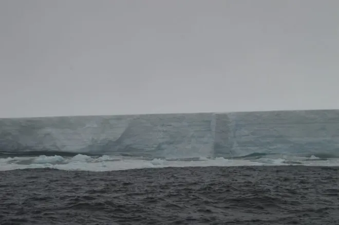 A equipe da Pesquisa Antártica Britânica conseguiu chegar a 500 metros do iceberg A81, maior do que a cidade de São Paulo (Imagem: Chris Auckland/British Antarctic Survey)