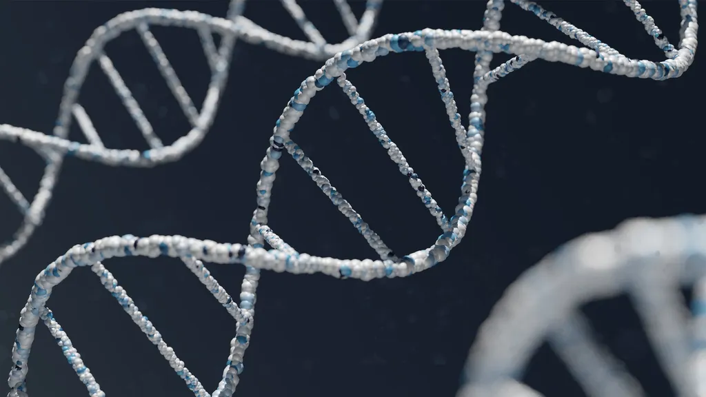 Cientistas descobrem genes que determinam a altura da pessoa - 2