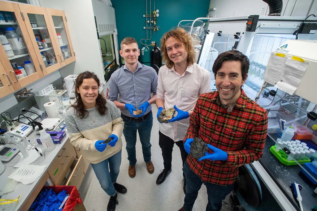 Os cientistas Erin Frates, Dylan Mankel, Peter Schroedl, e Jeffrey Marlow em seu laboratório com as amostras coletadas na erupção do vulcão Fagradalsfjall, na Islândia (Imagem: Cydney Scott/Reprodução via Boston University)