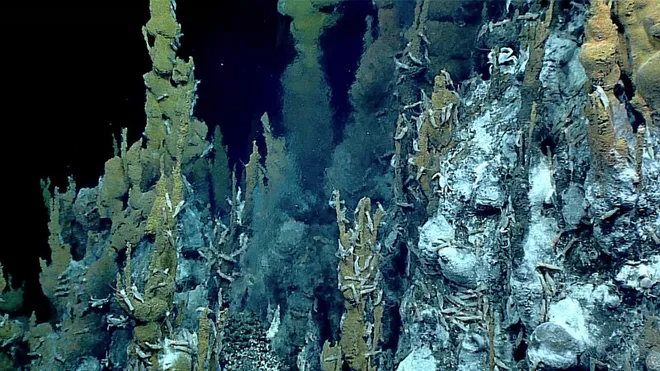 O ambiente inóspito das fontes hidrotermais é ocupado por poucas formas de vida, como bactérias quimiossintetizantes (Imagem: NOAA)