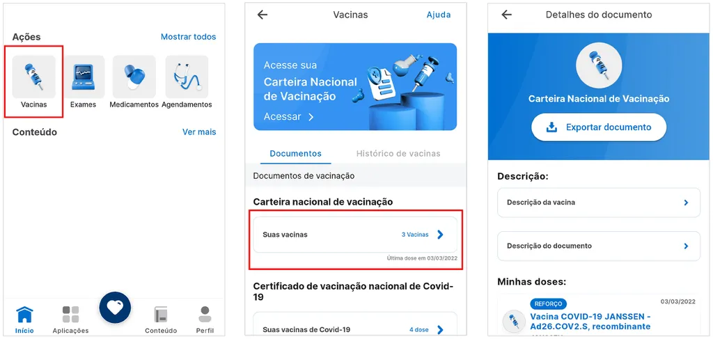 Conecte SUS | Como obter a Carteira de Vacinação Digital - 2