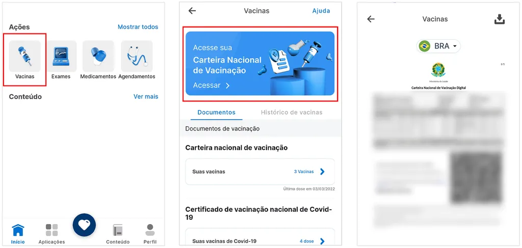 Conecte SUS | Como obter a Carteira de Vacinação Digital - 3