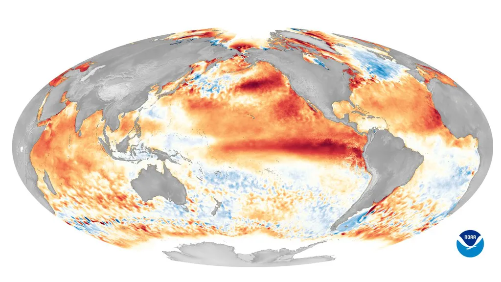Anomalias de temperatura observadas na superfície do oceano durante o último El Niño em 2016. Em vermelho, áreas com temperatura acima do comum, enquanto a cor azul indica áreas com temperaturas abaixo do usual (Imagem: Reprodução/NOAA)