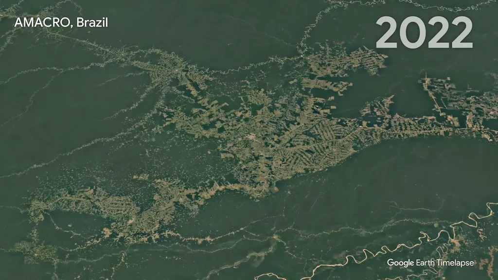 Google vai usar IA e bioquímica para monitorar desmatamento da Amazônia - 3
