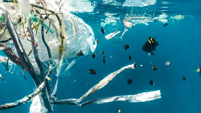 Ilha de plástico no Pacífico vem abrigando espécies invasoras - 1