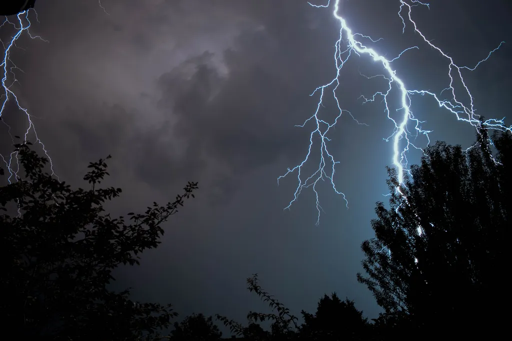 Árvores não são abrigos seguros contra raios, não fique embaixo delas durante uma tempestade (Imagem: Jonas Kaiser/Unsplash)