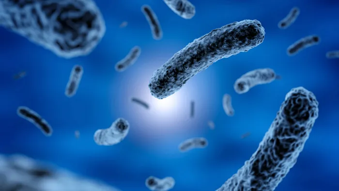 Bactéria aquática comum pode ser a principal causa do Parkinson - 1