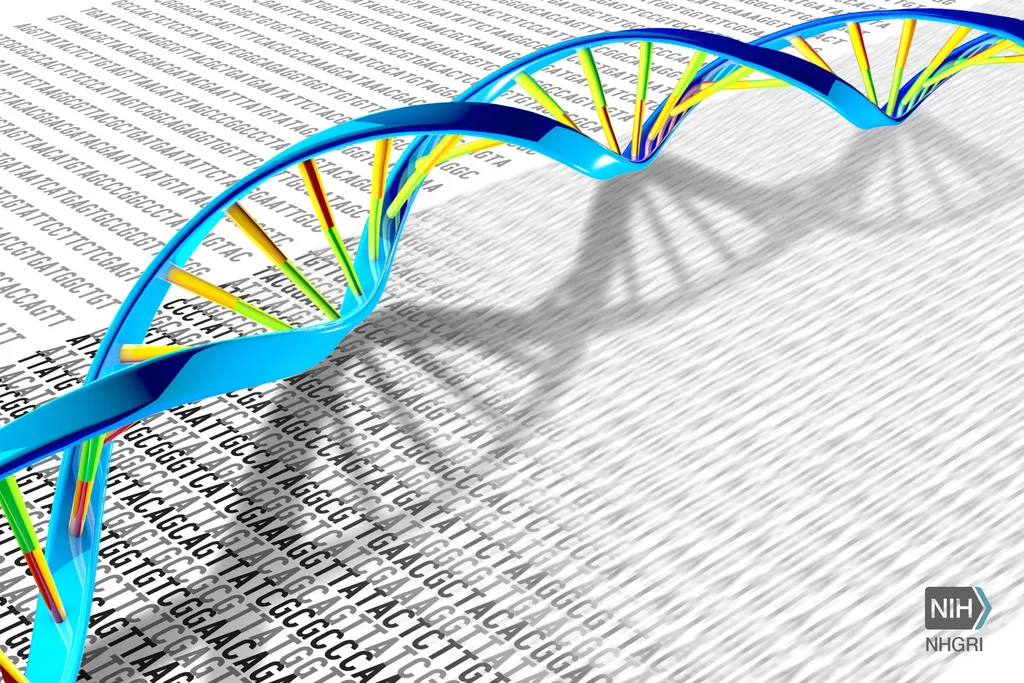 Os seres humanos possuem um DNA 99,9%, deixando menos de 1% de fora em bancos de dados genômicos — cientistas buscam mudar isso (Imagem: National Human Genome Research Institute/CC-BY-2.0)