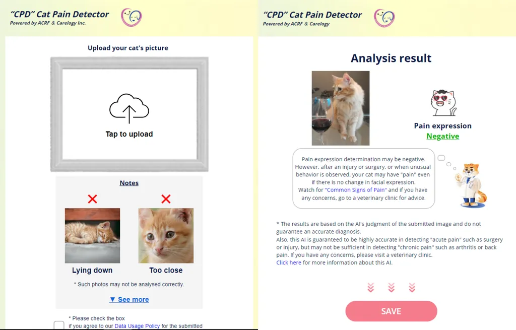 No Cat Pain Detector, basta enviar a foto do seu gato e ver o resultado da análise (Imagem: Captura de tela/Guilherme Haas/Canaltech)