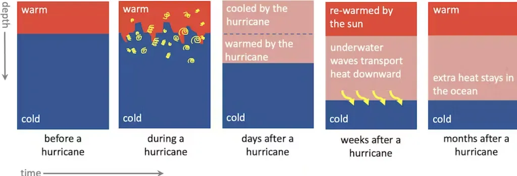 Ilustração mostrando como o água quente, representada em vermelho, se mistura com a água fria (azul) durante e depois de um furacão. O calor fica retido nas profundezas de meses a anos após estes eventos (Imagem: Sally Warner/CC BY-ND)