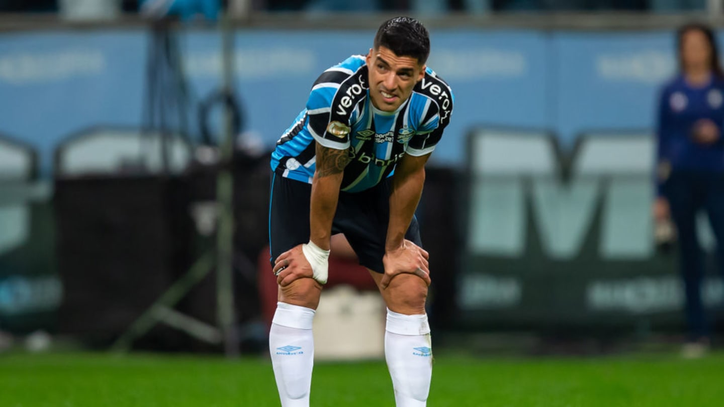 Renato Portaluppi atualiza situação clínica de Luis Suárez e revela que uruguaio não vai mais para Barcelona - 1