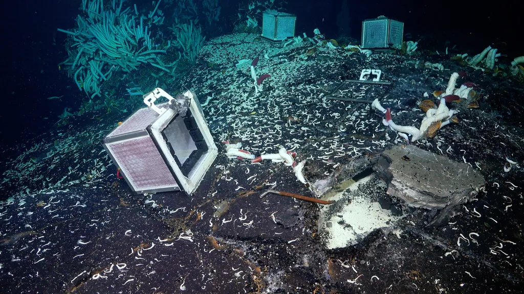 A caixa emalhada utilizada no experimento, com diversas criaturas rondando as fissuras hidrotermais (Imagem: ROV SuBastian/Schmidt Ocean Institute/CC BY-NC-SA)