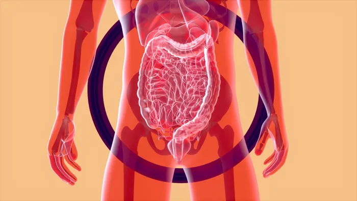 Microbioma intestinal está ligado à aptidão física e idade biológica - 1