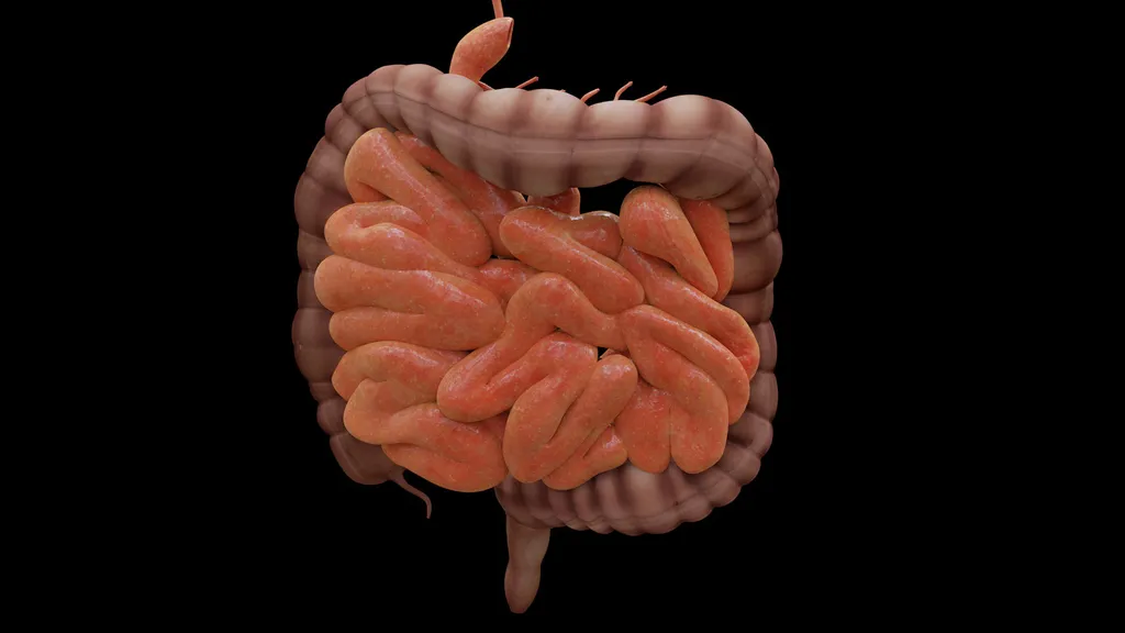 O microbioma intestinal está ligado à saúde de diversas formas, até mesmo ao cérebro — mas ainda é difícil saber quais bactérias são saudáveis e qual diversidade é positiva no órgão (Imagem: JimCoote/Pixabay)
