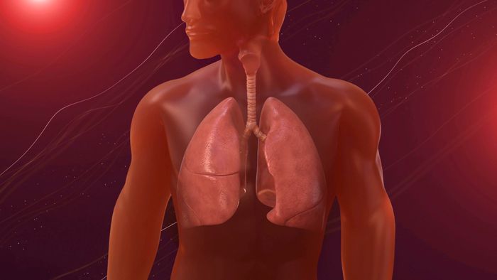 O que é embolia pulmonar? - 1