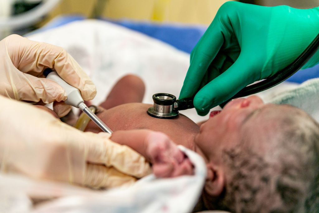 Úteros artificiais para bebês prematuros podem se tornar realidade - 2