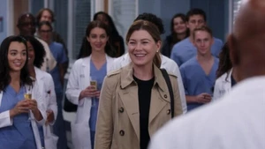 Grey’s Anatomy: 20ª temporada ganha data de estreia - 1