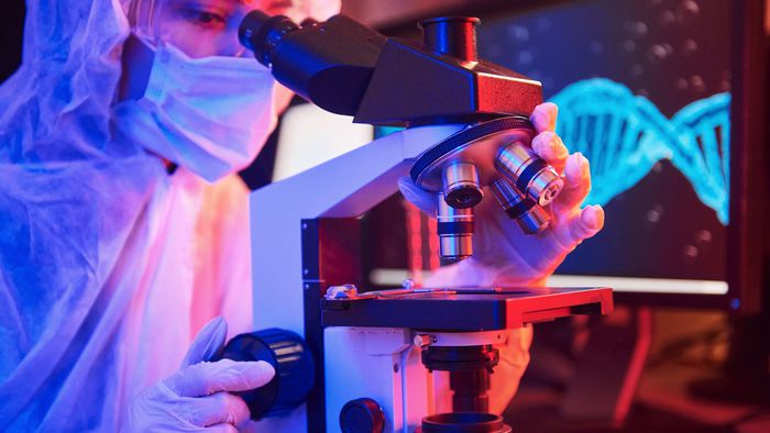Levedura é criada com mais de 50% do DNA feito em laboratório - 1