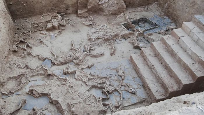 Milhares de ossos são achados em local de ritual da Idade do Ferro - 1