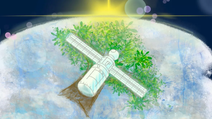 Satélite de madeira pode ser lançado à órbita da Terra em 2024 - 1