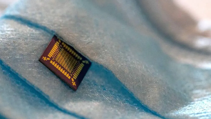 Transistor se adapta ao ambiente como tecido vivo e ajuda em diagnósticos - 1