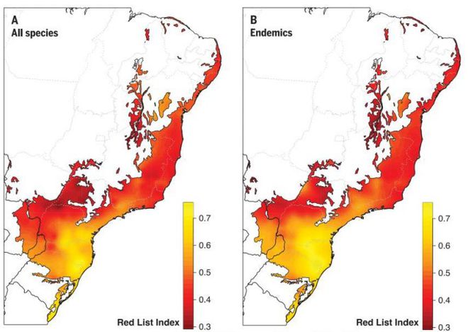 80% das árvores exclusivas da Mata Atlântica estão em risco de extinção - 2