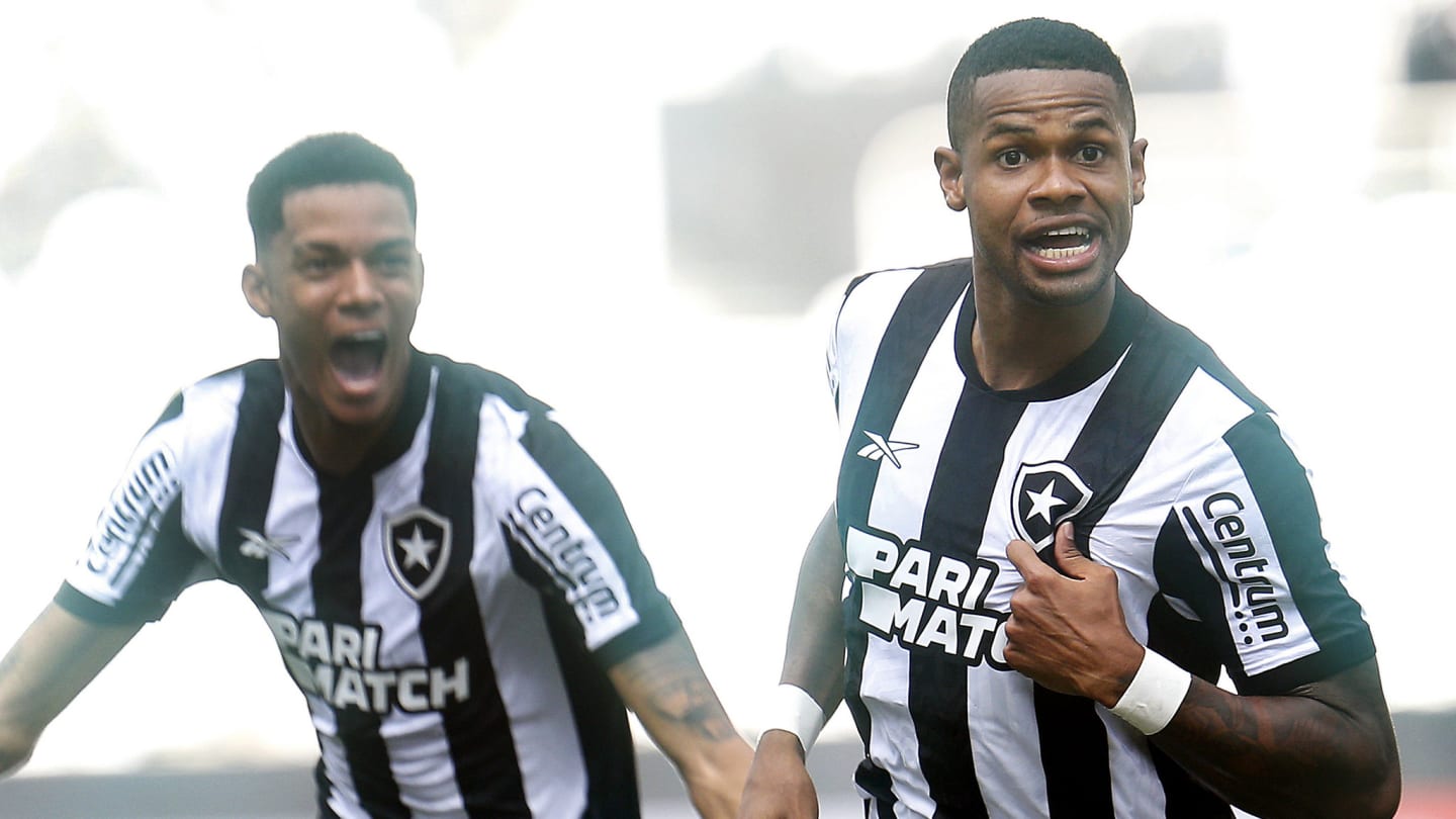 Júnior Santos no Verdão? Entenda a polêmica envolvendo John Textor, Palmeiras e Botafogo - 1