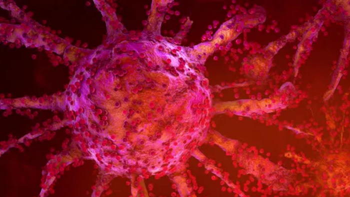 Novo exame de sangue detecta 18 tipos de câncer em fase inicial - 1