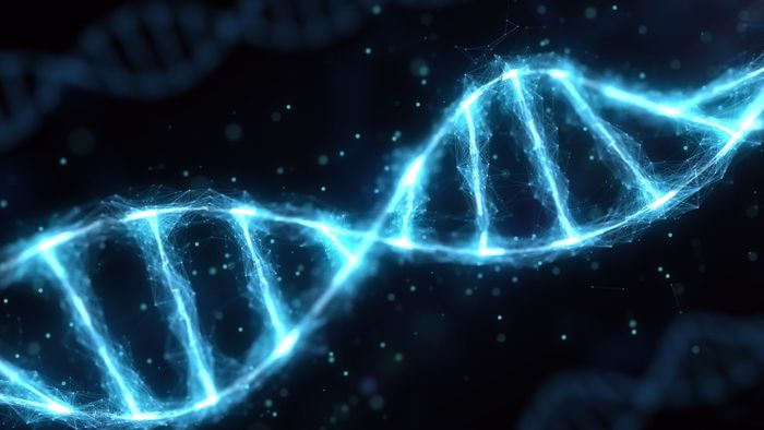 Cromossomo Y está desaparecendo da espécie humana - 1