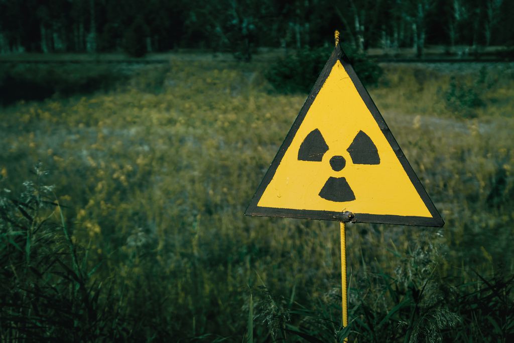 Lobos de Chernobyl desenvolvem resistência ao câncer - 2