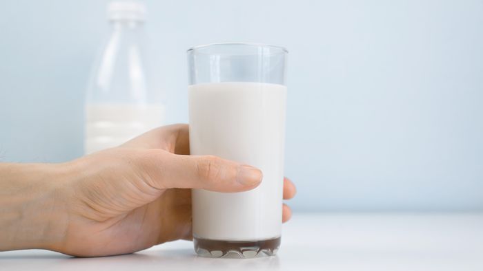 Qual é o leite mais saudável para consumo humano? - 1