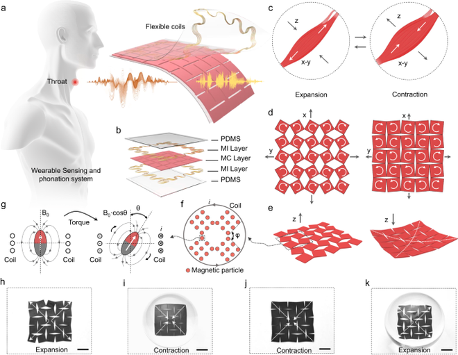 Adesivo com IA devolve voz às pessoas com lesão na garganta - 2