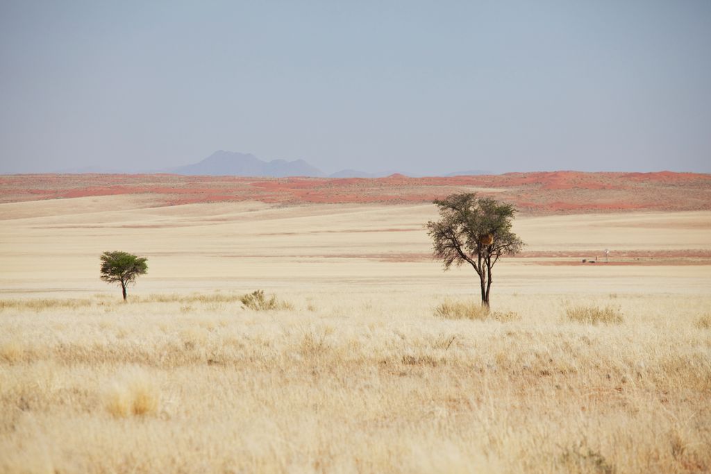 Como os humanos escaparam das mudanças climáticas há 900 mil anos - 2