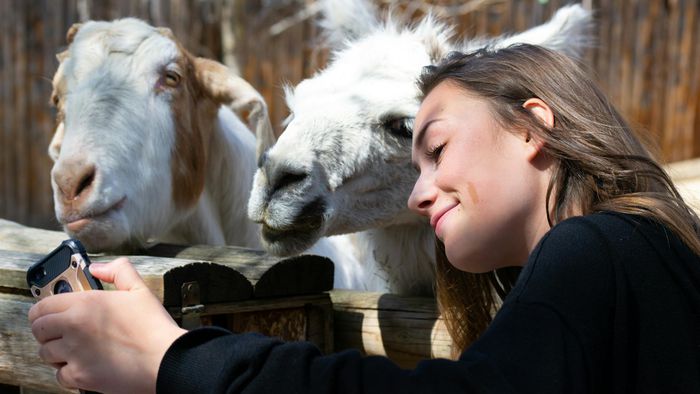 Humanos passam mais vírus para animais do que o oposto - 1