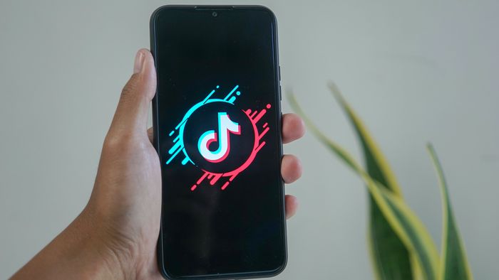 Como assistir vídeos do TikTok sem ter conta na rede social - 1