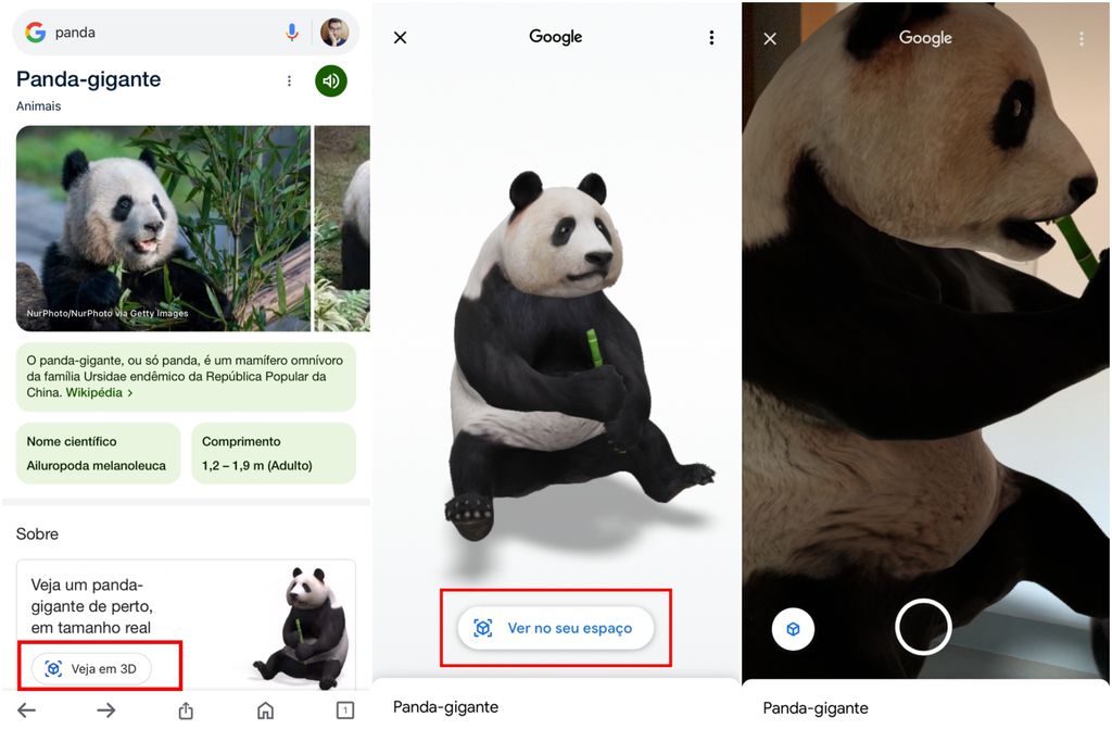 Panda gigante é um dos animais ainda disponíveis na experiência de visualização em 3D e realidade aumentada pela Busca do Google (Imagem: Captura de tela/Guilherme Haas/Canaltech)