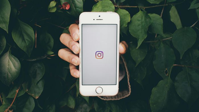 O que são templates de Instagram? Saiba como encontrar e usar - 1