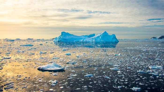 Onda de calor atinge Antártida; temperatura foi 40 °C acima da média - 1