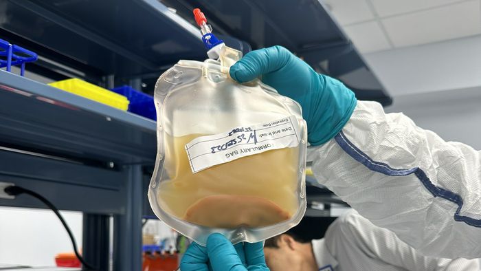 Terapia experimental cria um novo fígado em humanos, sem transplante - 1