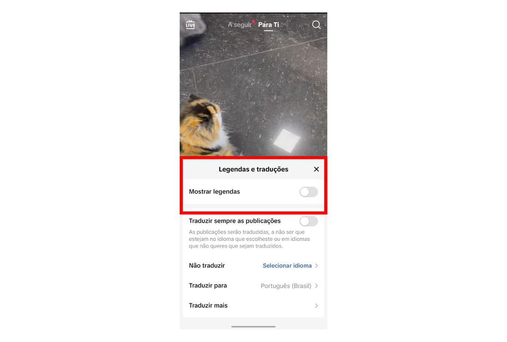 Como baixar vídeos do TikTok junto com as legendas - 2