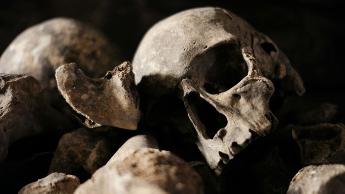Crânio mostra como egípcios tratavam câncer há 4 mil anos - 1