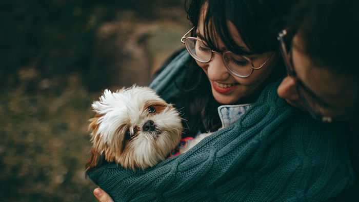 É científico: perder um cachorro é como perder um filho - 1