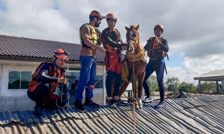 CHUVAS NO RS - Canoas (RS) - Égua Caramelo, que ficou dias ilhada sobre u tehado, é resgatada pelo Corpo de Bombeiros. Foto: Corpo Bombeiros RS