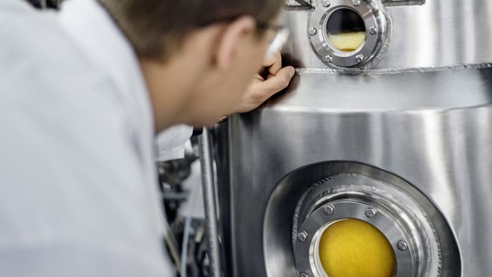 Finlândia inaugura fazenda que produz proteínas a partir do ar - 1