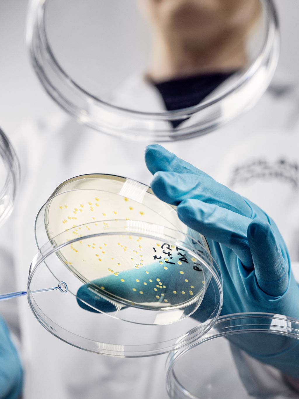 Finlândia inaugura fazenda que produz proteínas a partir do ar - 3