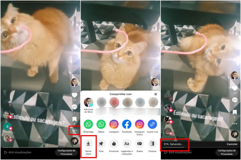 Como baixar vídeos de uma conta no TikTok (Imagem: Captura de tela/Guilherme Haas/Canaltech)